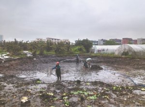 新城河道鱼塘清淤